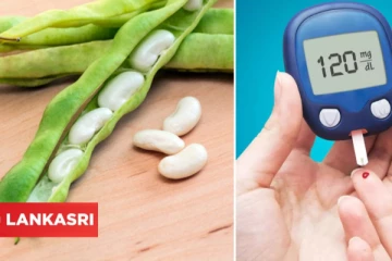 மொச்சைக்கொட்டை சாப்பிட்டால் இத்தனை நோய்கள் குணமாகுமா? இவ்வளவு நாள் இது தெரியாம போச்சே!