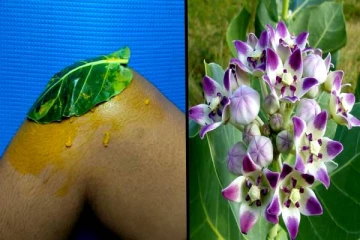 ஒரே கட்டில் மூட்டுவலியை இடம் தெரியாமல் போக்கும் மருத்துவம்! நீங்களும் செய்யலாம்