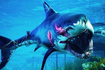 சர்வதேச அளவில் அழிவை நோக்கி 30 சதவீத உயிரினங்கள்