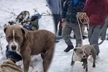 Ethirneechal: வீட்டில் நுழையும் குணசேகரன்... அடுத்து நடக்கப்போவது என்ன ?