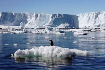 பனிப்பாறை சரிந்து வீழ்ந்ததில் சுற்றுலா பயணி ஒருவர் பலி.... இருவர் மாயம்