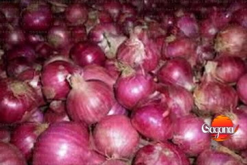 මීට පස්සේ ලොකු ලූනු ගන්නේ මෙහෙමයි - රජයෙන් දාපු කොන්දේසි 17ක් මෙන්න