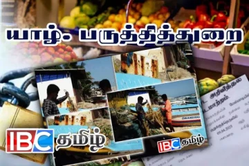 கிராமமே அழிந்து போகும் - பருத்தித்துறையில் இருந்து அநுரக்கு பறந்த கோரிக்கை
