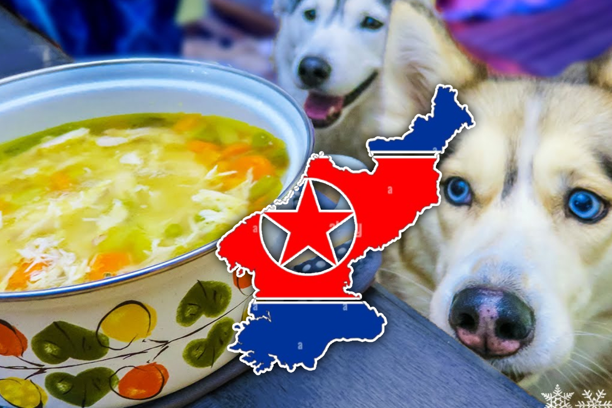 வெயிலை சமாளிக்க நாயிறைச்சி சூப் - விநோத அறிவிப்பு | Nk Urged To Beat Heat With Dog Meat Soup