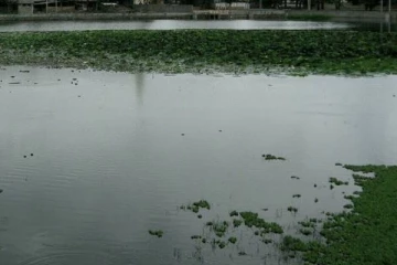 யாழில் நகரப் பகுதி குளமொன்றில் நபரொருவரின் சடலம் மீட்பு