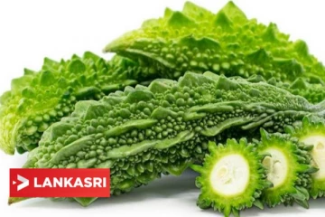 பாகற்காயில் இந்த அளவுக்கு ஆபத்து உள்ளதா? இனி அதிகமாக சாப்பிட வேண்டாம்