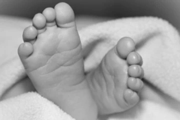 ජලය පිරි වළකට වැටීමෙන් සිඟිත්තෙකු මිය ගිය සංවේදී පුවතක්..