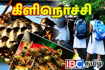 கிளிநொச்சியில் 33 மாணவர்கள் வைத்தியசாலையில் அனுமதி!