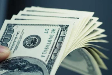 இலங்கையில் டொலருக்கு கடும் நெருக்கடி! - ரணில், கம்மன்பில ஆகியோரின் யோசனை நிராகரிப்பு