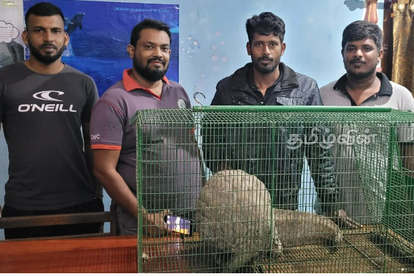 நாட்டில் அதிகரிக்கும் பல்வேறு குற்றச் சம்பவங்கள்: பொலிஸாரின் கைது நடவடிக்கைகள் (Photos) | Crime Sl Police Investigation