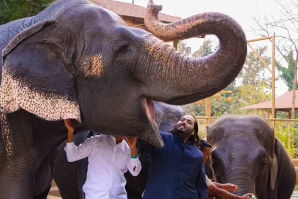 முகேஷ் அம்பானியின் மகனுக்கு சிக்கல் | Mukesh Ambani S Son Is In Trouble Vantara Zoo