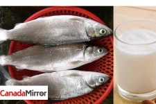 மீன் சாப்பிட்ட பிறகு பால் குடிக்கக்கூடாது.. ஏன் தெரியுமா?