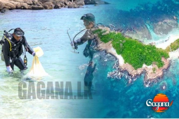 පරෙවි දූපත ආශ්‍රිත ප්‍රදේශ පිරිසිදු වේ.