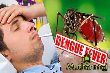 நாட்டில் அதிகரித்துள்ள டெங்கு நோயாளர்களின் எண்ணிக்கை