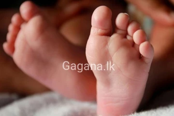 ජල ටැංකියක් පුංචි මල් කැකුළක් මරු තුරුලට රැගෙන යයි..