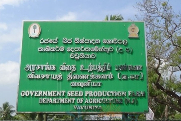 வவுனியா பண்ணை குறித்து வடக்கு ஆளுநர் வெளியிட்ட தகவல்! | Information About Vavuniya By Northern Governor