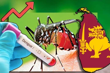 நாளுக்கு நாள் அதிகரிக்கும் டெங்கு நோயாளர்களின் எண்ணிக்கை!
