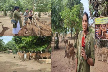 திருகோணமலையை புகழும் பிரான்ஸ் நாட்டு யுவதி(Video)