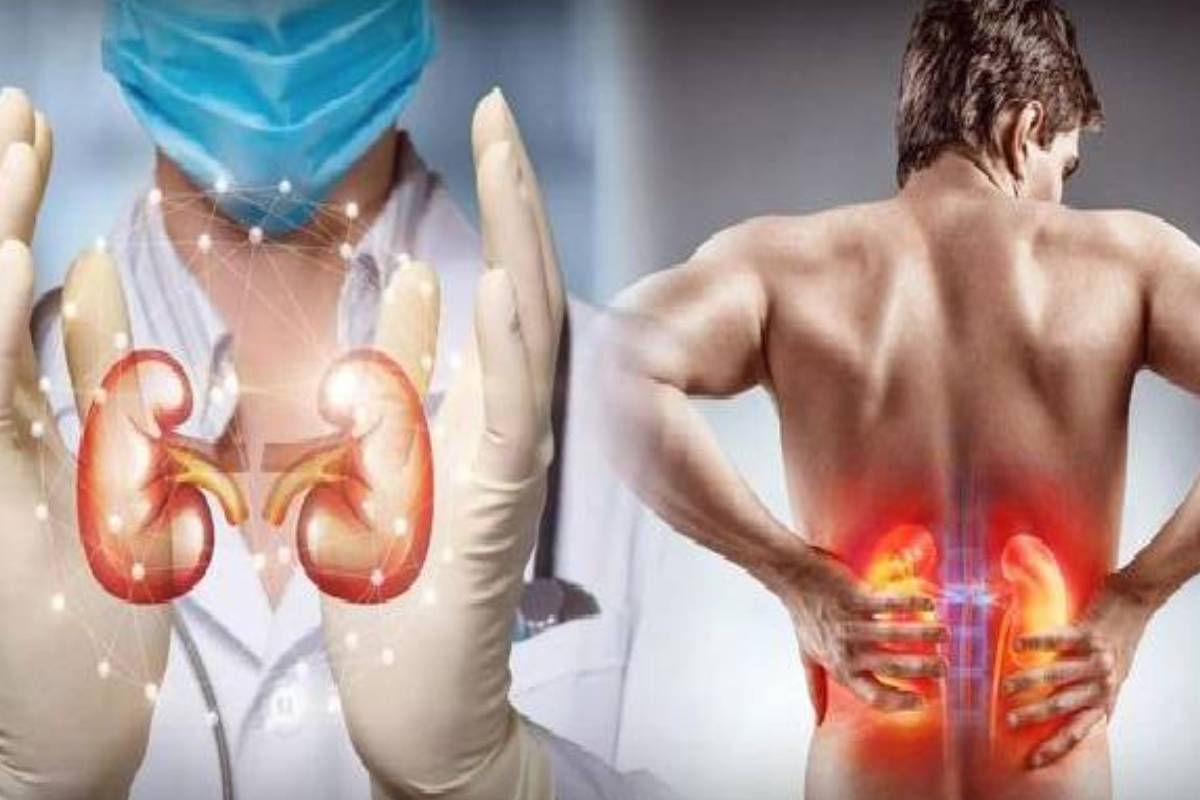 உடலில் இந்த அறிகுறிகள் இருக்கா? அப்போ சிறுநீரக பாதிப்பு உறுதி! | What Are The Main Symptoms Of Kidney Damage