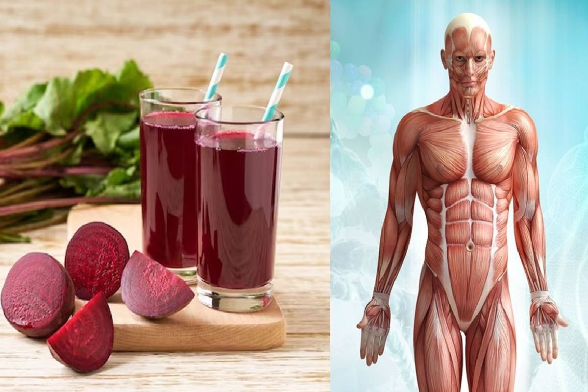 ஏழு நாட்களுக்குத் தினமும் பீட்ரூட் சாறு குடித்தால் என்ன பலன்? | Benefits Of Drinking Beetroot Juice For 7 Days ஏழு நாட்களுக்குத் தினமும் பீட்ரூட் சாறு குடித்தால் என்ன பலன்? | Benefits Of Drinking Beetroot Juice For 7 Days