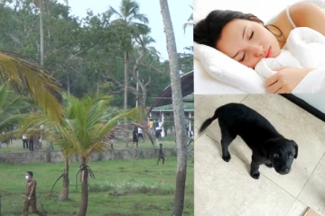 කාල්ටන් නිවසේ සිටි බලුපැටවකු රැගෙන ගිය තරුණියට වෙච්ච දේ මෙන්න.(PHOTOS)