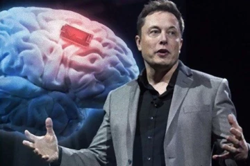 எலன் மஸ்க்   நிறுவன ஆராய்ச்சியால் பரிதாபமாக பறிபோன உயிர்கள்!