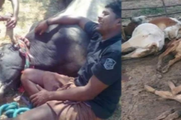 கேட்பதற்கு நாதியற்ற மக்களா நாம்? கிழக்கில் தமிழர்களுக்கு தொடரும் அவலம்