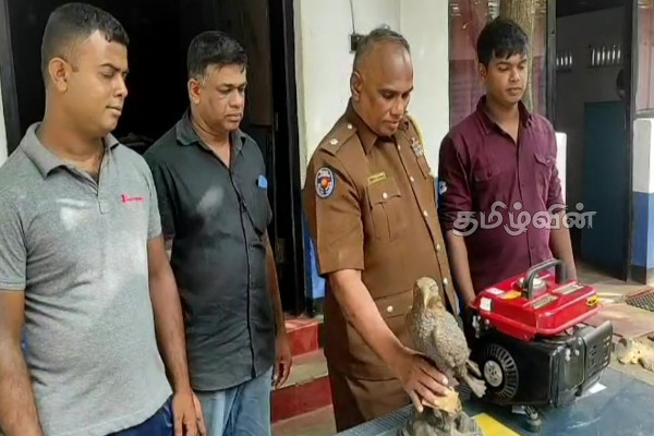 நகரசபை உறுப்பினர் வீட்டை உடைத்து கொள்ளை! புராதன பொருட்கள் மீட்பு (Video) | Housebreaking And Robbery