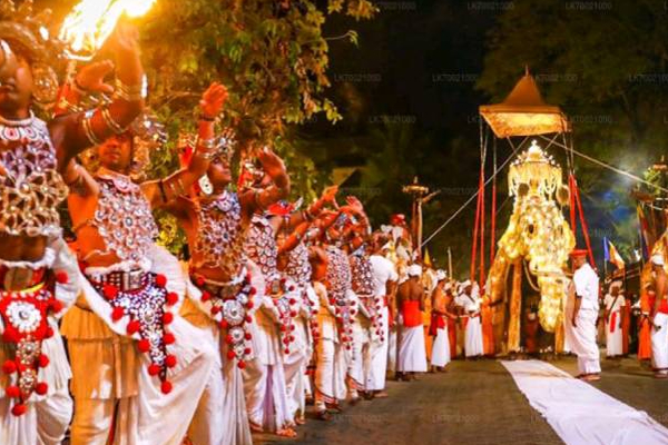 ரந்தோலி பெரஹெரவை பார்வையிட சென்ற குடும்பப் பெண்ணுக்கு நேர்ந்த சோகம்! | Dimbulagala Rajamaha Viharaya Woman Electric Shock