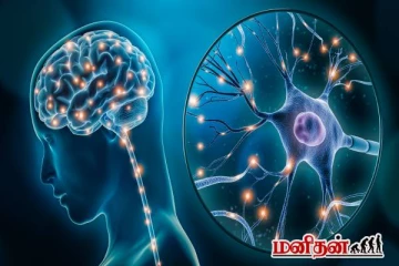 மூளை எப்போது தூக்குகிறது? பலரும் அறியாத சுவாரஸ்யமான உண்மைகள்!