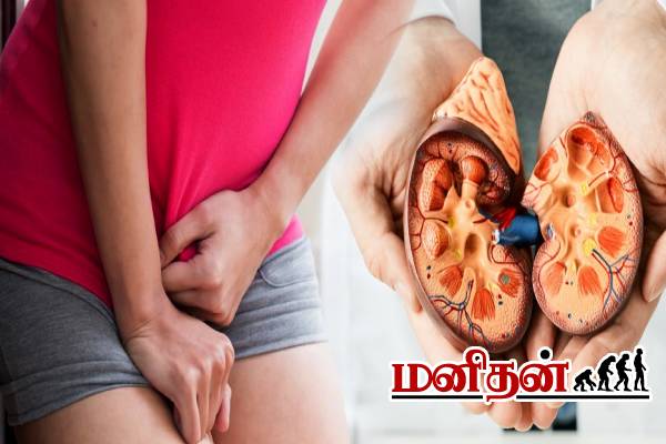 ஆண்களே உஷாரா இருங்க.. சிறுநீர் கழிக்கும் பொழுது ஏன் எரிச்சல் தெரியுமா? | Kidney Disease Full Details In Tamil ஆண்களே உஷாரா இருங்க.. சிறுநீர் கழிக்கும் பொழுது ஏன் எரிச்சல் தெரியுமா? | Kidney Disease Full Details In Tamil