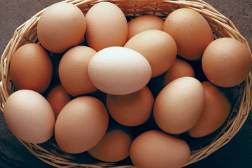 முட்டையின் விலை தொடர்பில் முக்கிய அறிவிப்பு!