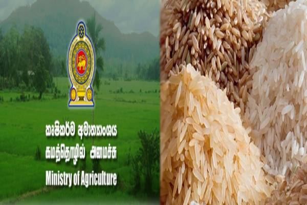 விவசாயத் துறைக்கு வெற்றிகரமான பருவம்; அரிசி இறக்குமதி தேவையில்லை; விவசாய அமைச்சர்! | Not Import Rice Said Agricultural Minister