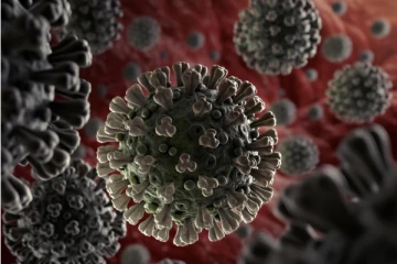 உருமாற்றமடைந்த கொரோனா டெல்டா ப்ளஸ்..ஆபத்தை ஏற்படுத்துமா?