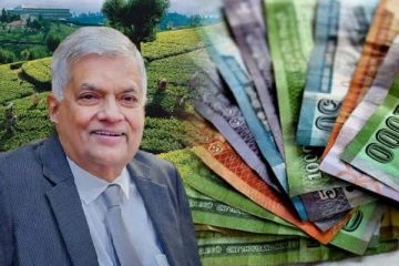 பெருந்தோட்ட மக்களின் சம்பள உயர்வு: ரணிலுக்கு புகழாரம்