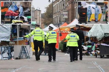 லண்டனில் பட்டப்பகலில் கொடூர சம்பவம்... குவிக்கப்பட்ட பொலிசால் பரபரப்பு