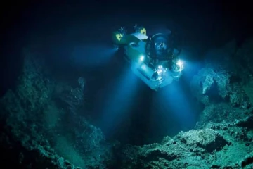 ஆழ்கடலில் ஆராய்ச்சியாளர் கண்டுபிடித்த வினோத உயிரினம்... அது எலியனா?