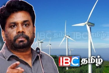 மன்னார் காற்றாலை திட்டம்: வலசை பறவைகள் தொடர்பில் ஆய்வு!