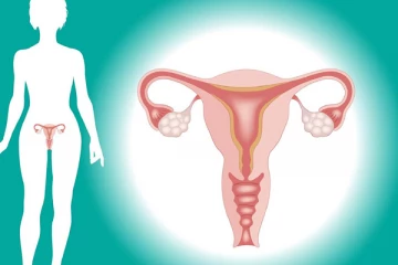 ගර්භාෂයේ රෝග පාලනය කරන සුපිරි ආහාර පාන.