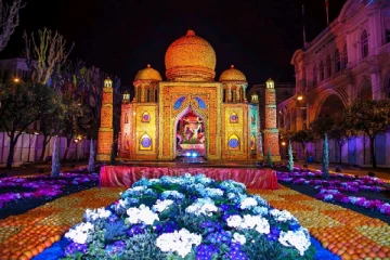 பிரான்ஸில் வியக்கவைத்த எலுமிச்சை!