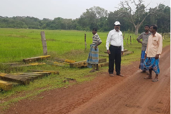 கொக்குதொடுவாயில் சிங்களவர்களுக்கு தாரை வார்க்கப்பட்ட தமிழர்களின் காணிகள்! | Distribution Of Lands Sinhalese In Mullaitivu