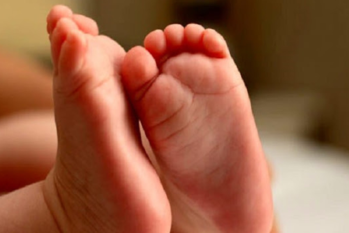 யாழில் பிறந்து 24 நாட்களேயான ஆண் குழந்தை உயிரிழப்பு! | A Baby Boy Just 24 Days Old Dies In Jaffna