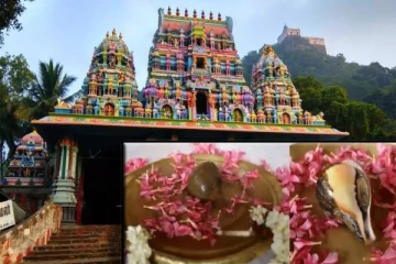 12 ஆண்டுகளுக்கு பிறகு தோன்றிய அதிசய சங்கு ; திருக்கழுக்குன்றம் கோயிலில் பக்தர்கள் பரவசம்