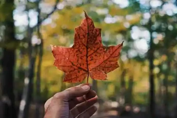 கனடாவில் புலம்பெயர்ந்தோருக்கு அதிக வேலைவாய்ப்பு உள்ள 10 நகரங்கள்...