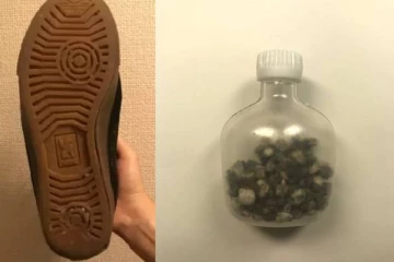 ஜப்பானியர் ஒருவரின் செயலால் திகைத்துப்போய் உள்ள நெட்டிசன்கள்!