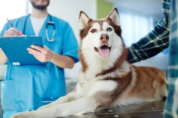 புதியதாக நாய்களுக்கிடையே பரவும் வைரஸ்; மனிதர்களுக்கு ஆபத்தா!