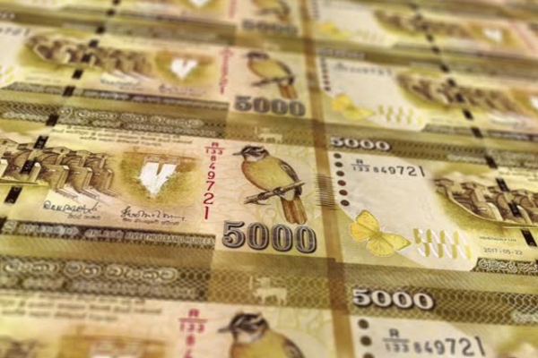 வரலாற்று சாதனை படைத்த உள்நாட்டு இறைவரித் திணைக்களம் | Ird Records Highest Tax Revenue வரலாற்று சாதனை படைத்த உள்நாட்டு இறைவரித் திணைக்களம் | Ird Records Highest Tax Revenue