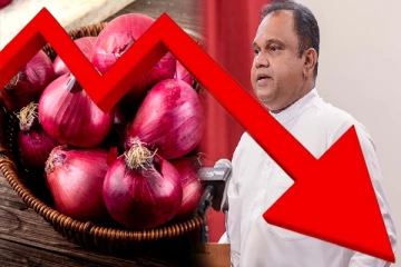 பெரிய வெங்காய விலையை குறைக்க இறக்குமதியாளர்கள் இணக்கம்