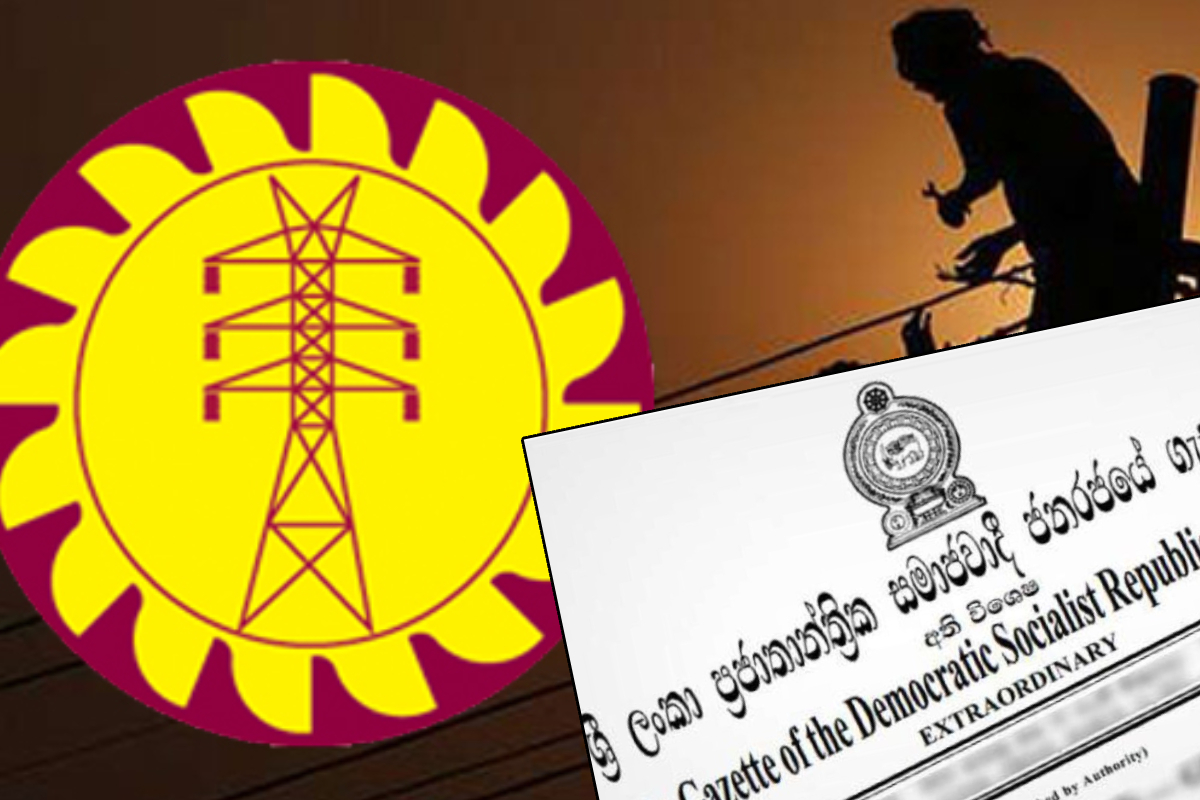 மின்சார சபை கலைக்கப்பட்டது : நடைமுறைக்கு வரும் புதிய நிறுவனங்கள் | Ceb Dissolved 6 New Companies Take Over Operations மின்சார சபை கலைக்கப்பட்டது : நடைமுறைக்கு வரும் புதிய நிறுவனங்கள் | Ceb Dissolved 6 New Companies Take Over Operations