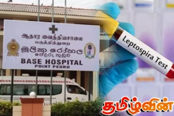 யாழில் எலிக்காய்ச்சல் அறிகுறிகளுடன் இருவர் அவசர சிகிச்சைப் பிரிவில் அனுமதி